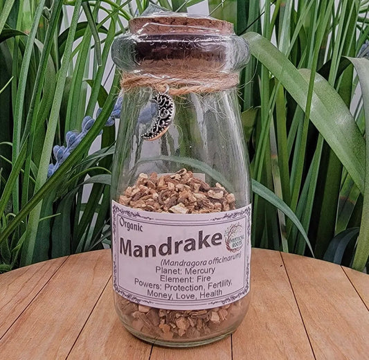 Apothecary Jar-Mandrake Root