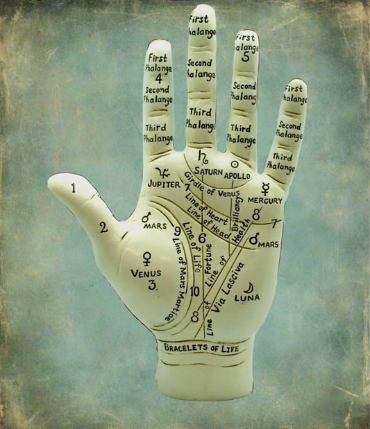 Big Palmistry Hand Figurine