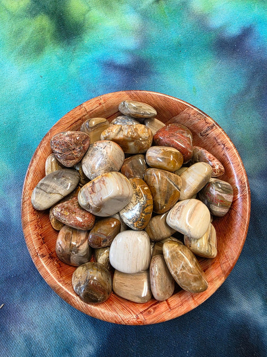 Petrified Wood Stone Tumble