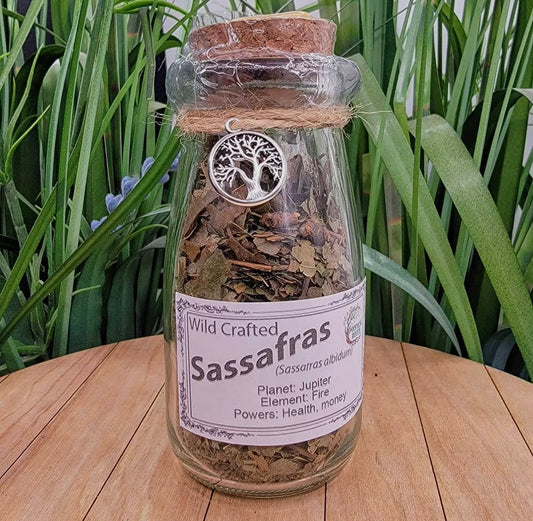 Apothecary Jar-Sassafras Bark