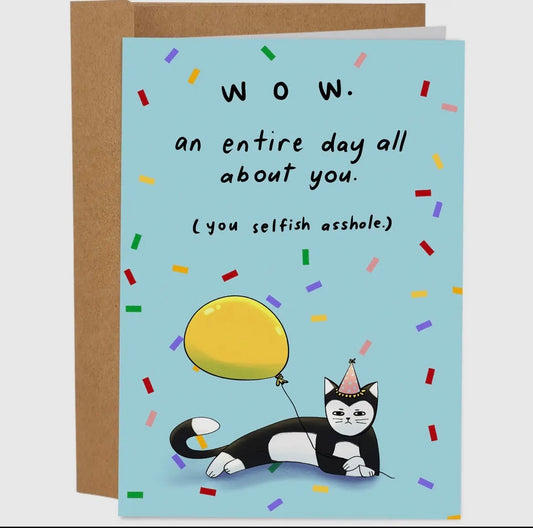 Wow An Entire Day All About You (You Selfish Asshole) Greeting Card