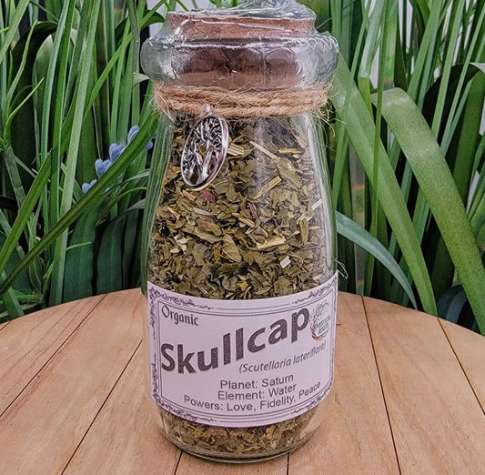 Apothecary Jar-Skullcap