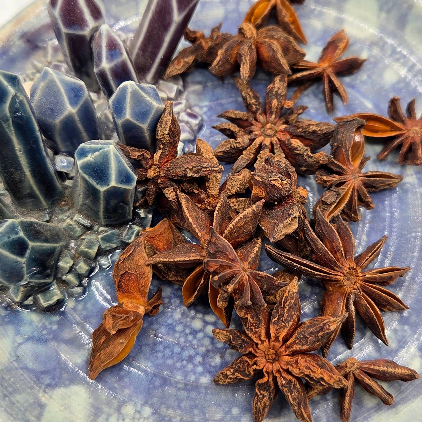 Anise Star Apothecary Herb Jar – Ritual Botanical