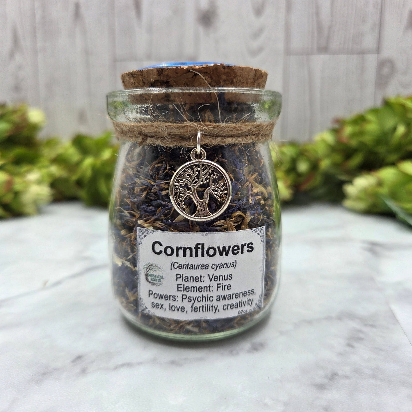 Cornflowers Apothecary Herb Jar – Ritual Botanical