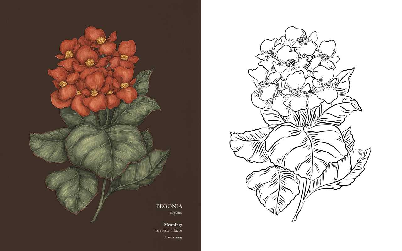 Floriography Coloring Book by Jessica  Roux