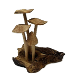 Carved Root Mushroom #8