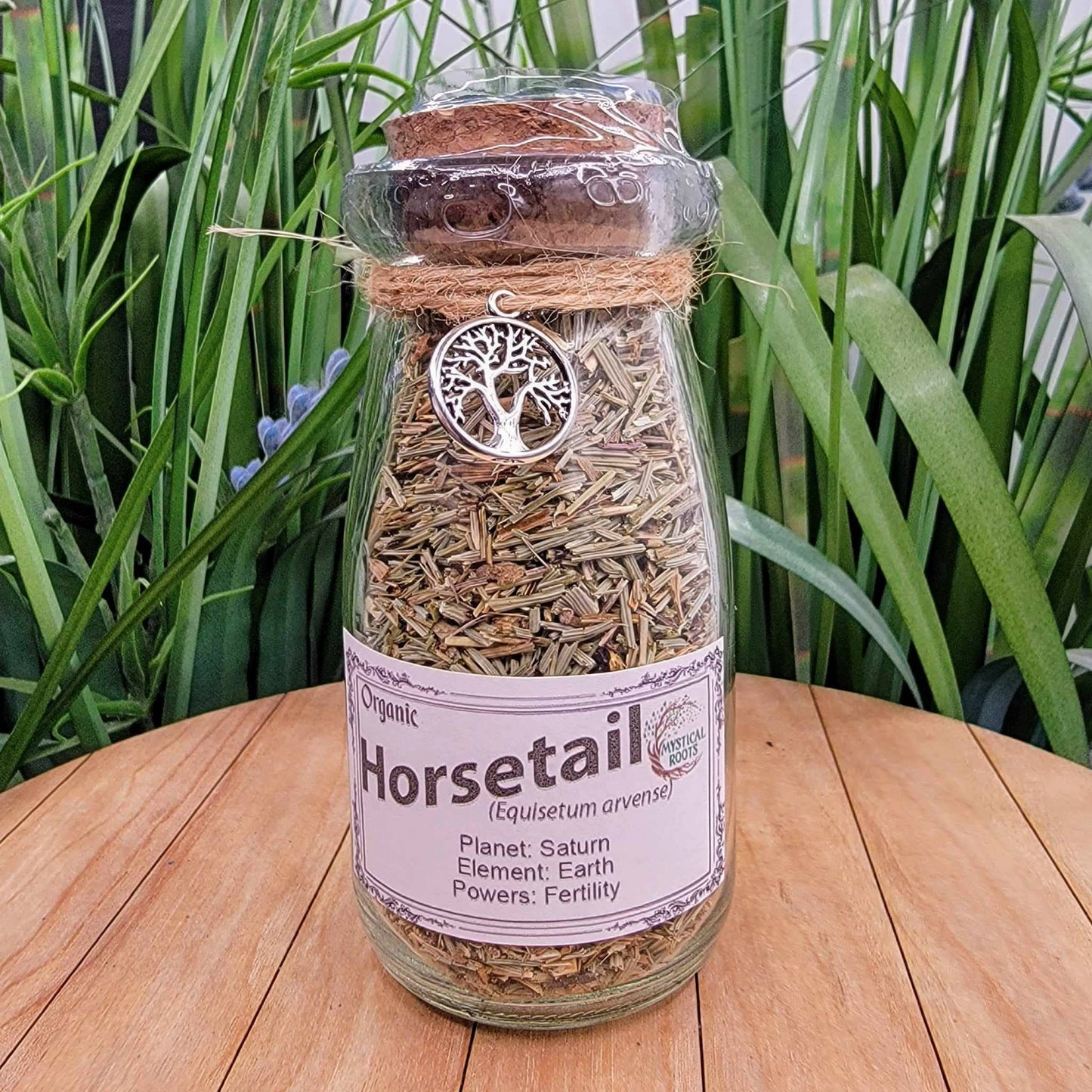 Herb Jar - Horsetail (Shavegrass)