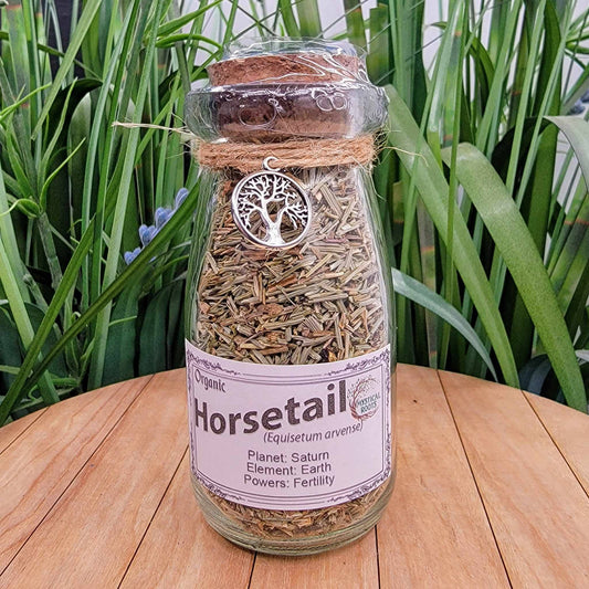 Herb Jar - Horsetail (Shavegrass)