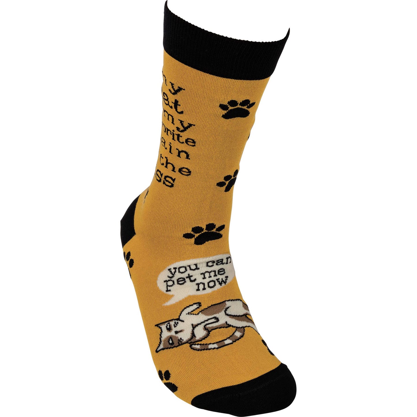 My Cat Is My Favorite Socks