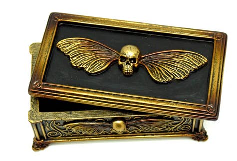 Skull Death Moth Box