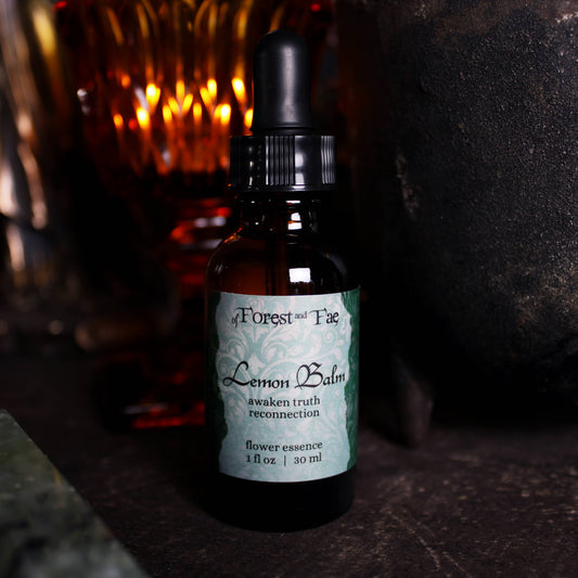 Reconnection • Lemon Balm Flower Essence • Witchy Intuition
