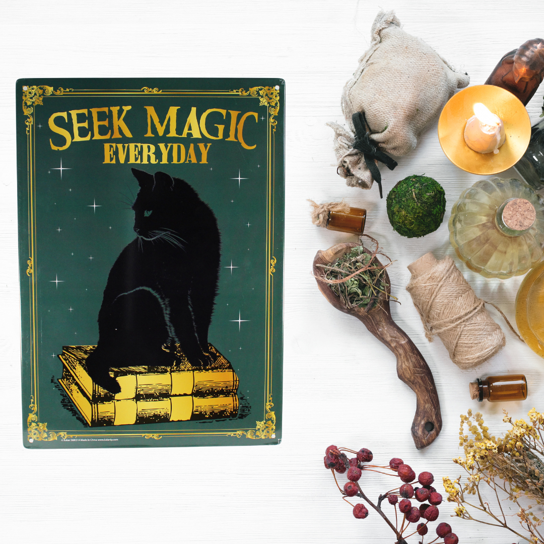 Seek Magic Everyday-Metal Sign