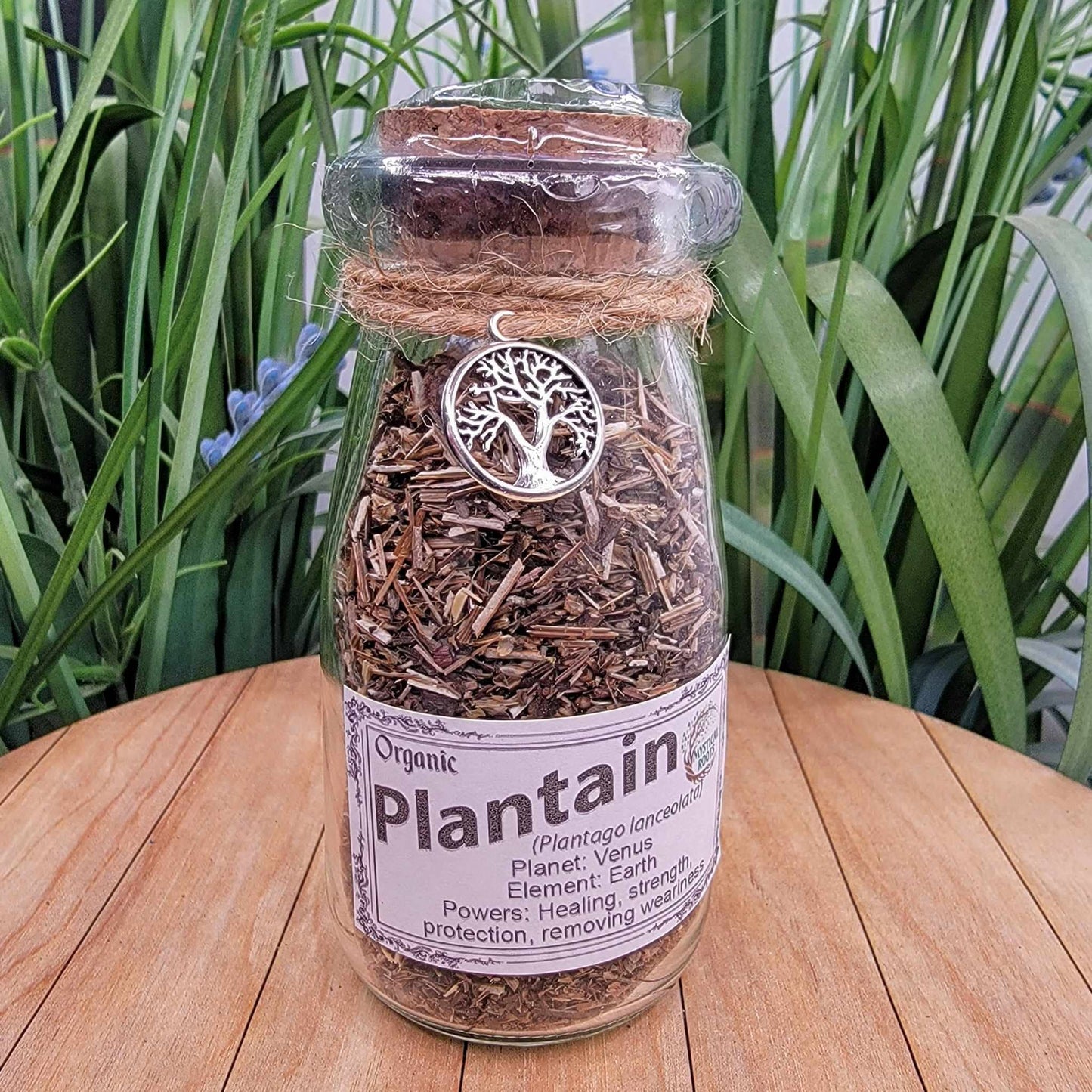 Herb Jar - Plantain Leaf