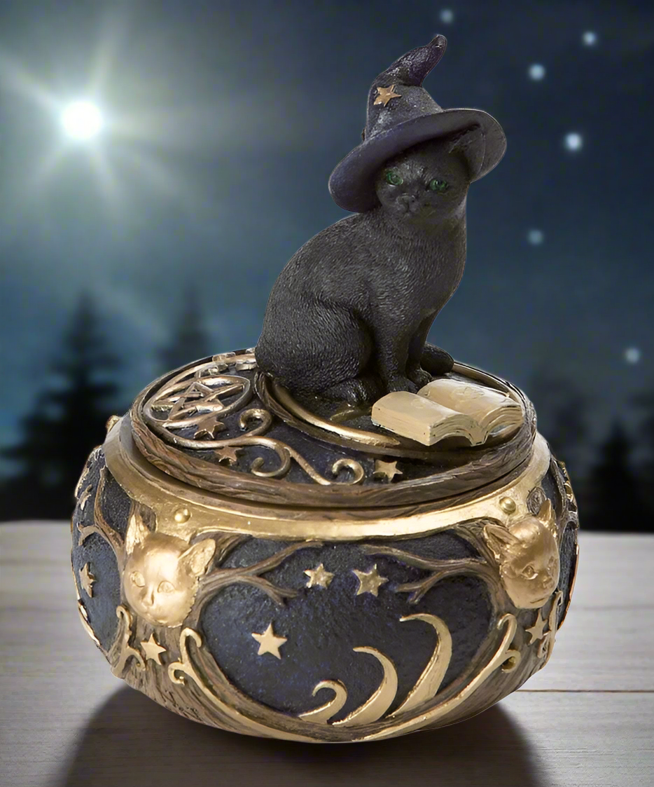 Magical Cat Box