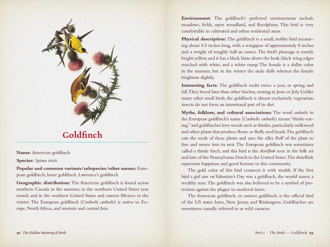 Hidden Meaning of Birds--A Spiritual Field Guide by Arin Murphy-Hiscock