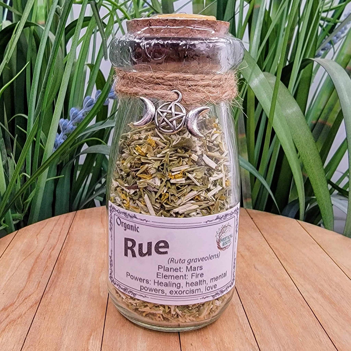 Herb Jar - Rue