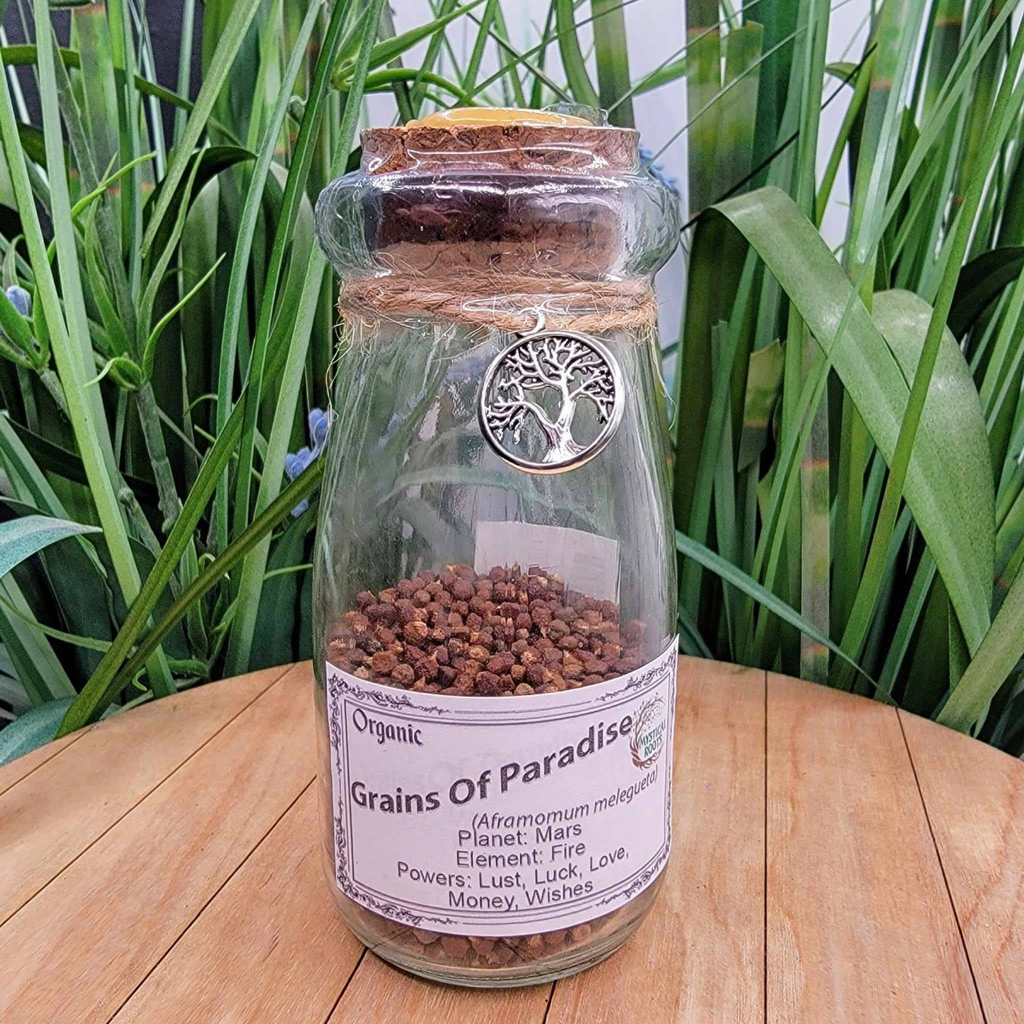 Herb Jar - Grains Of Paradise