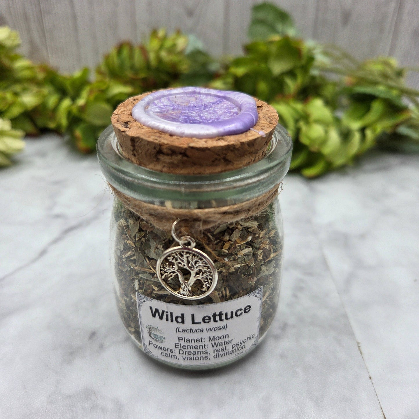 Wild Lettuce Apothecary Herb Jar – Ritual Botanical