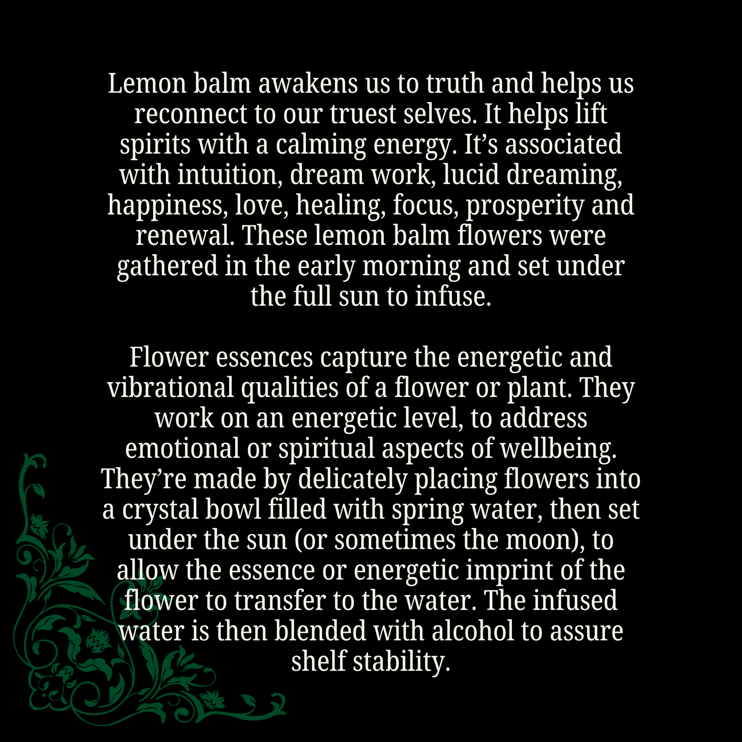 Reconnection • Lemon Balm Flower Essence • Witchy Intuition
