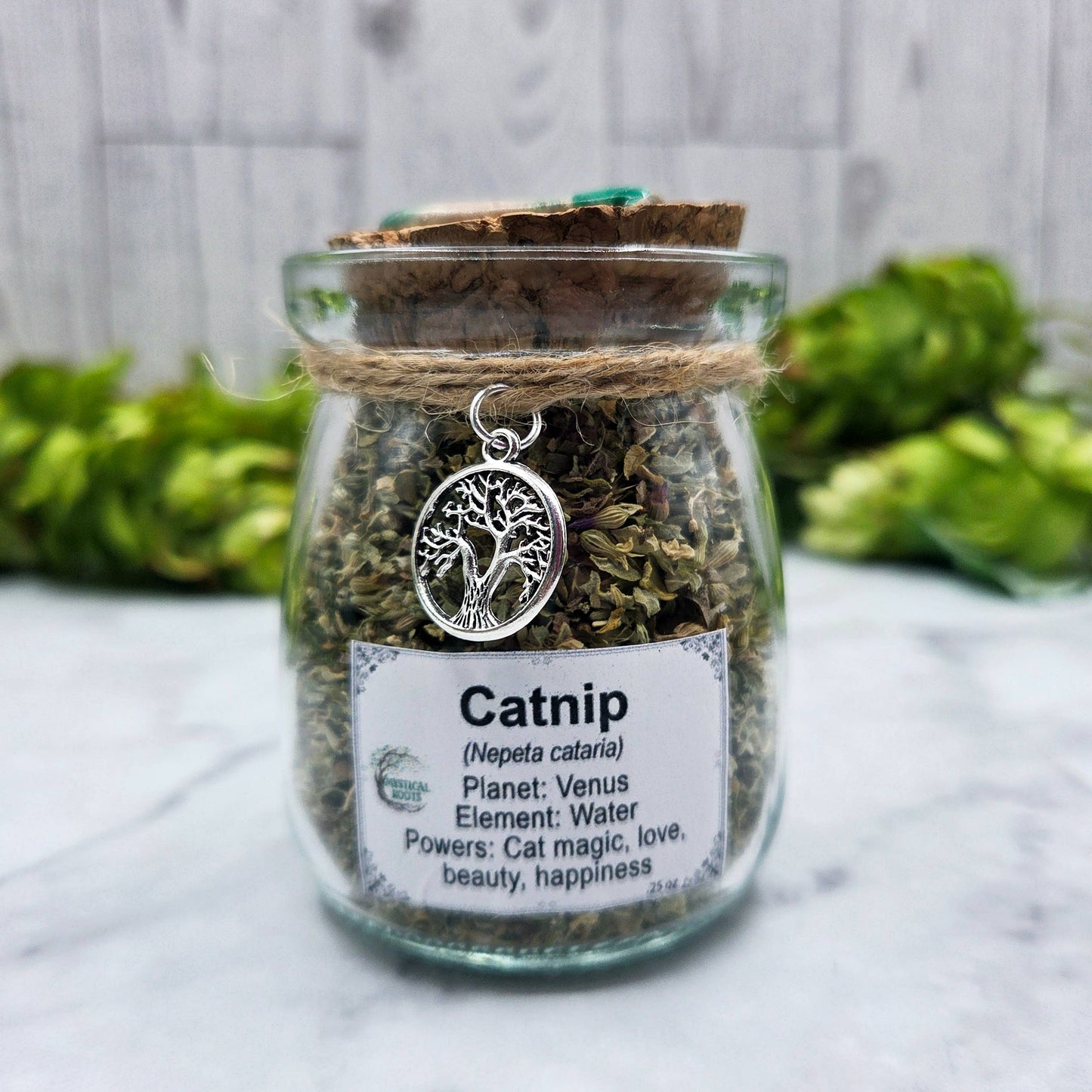 Catnip Apothecary Herb Jar – Ritual Botanical