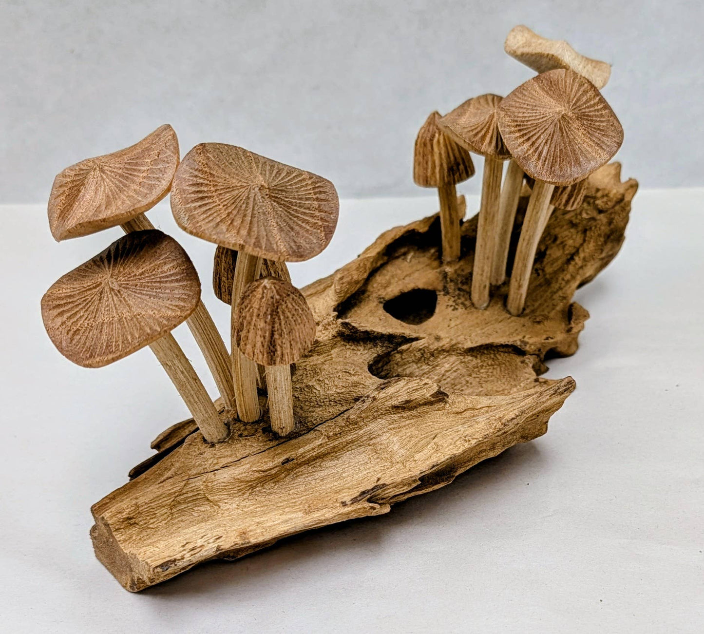 Carved Root Mushroom #9