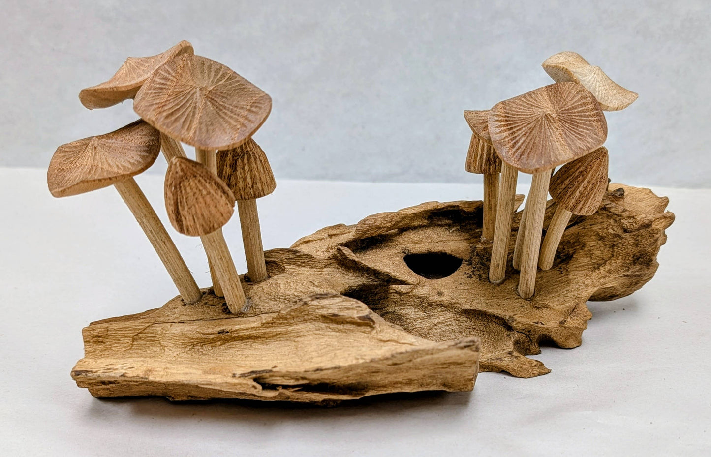 Carved Root Mushroom #9