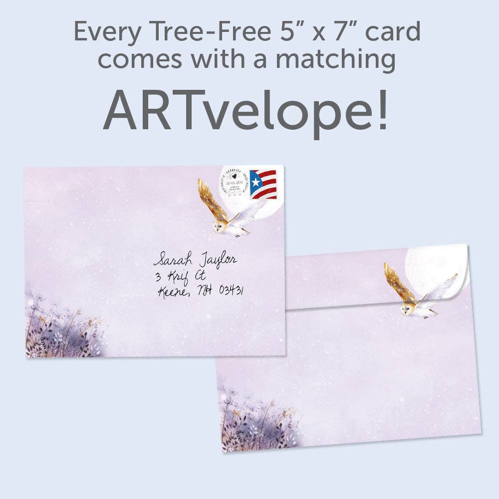 Owl Calmness Solstice Greeting Card