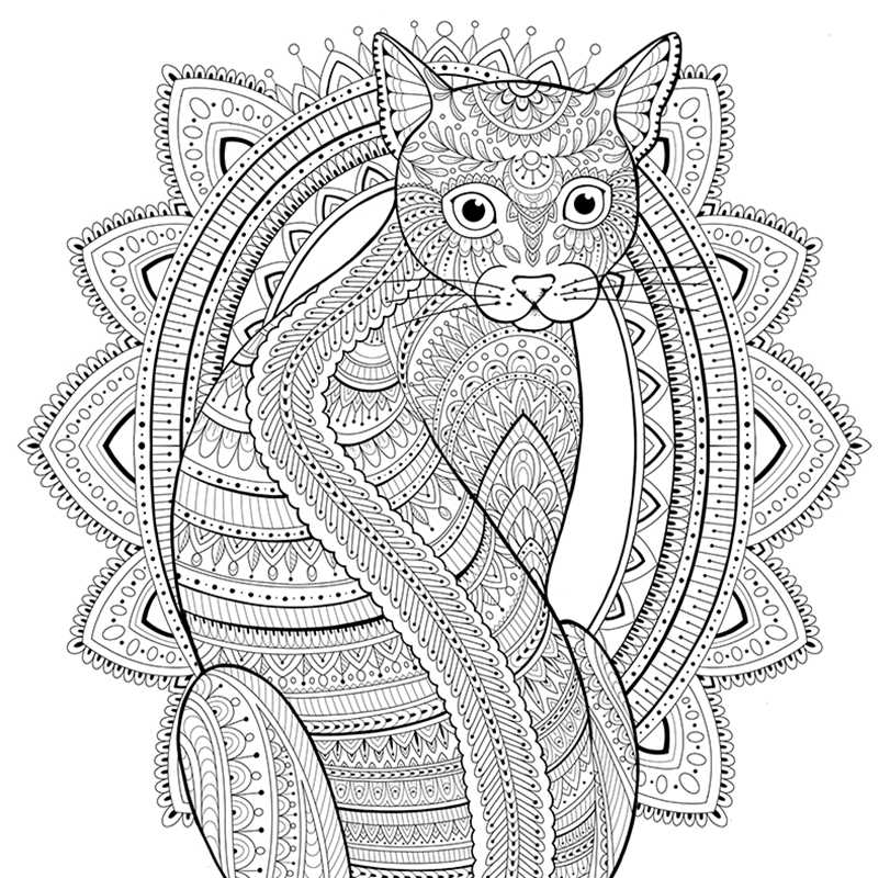 My Cat Mandala Coloring Book by Marica Zottino